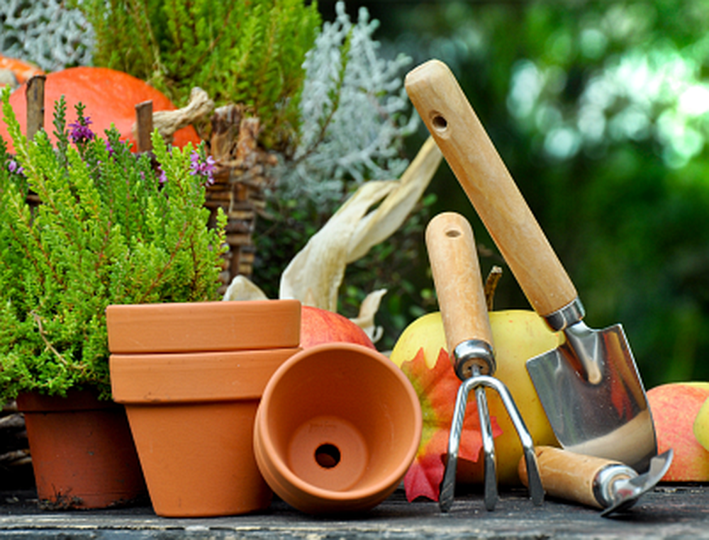 Ilustracja wpisu: Materiały i narzędzia ogrodnicze