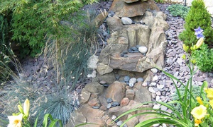 Ogród na kamieniu