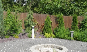 Ogród na kamieniu